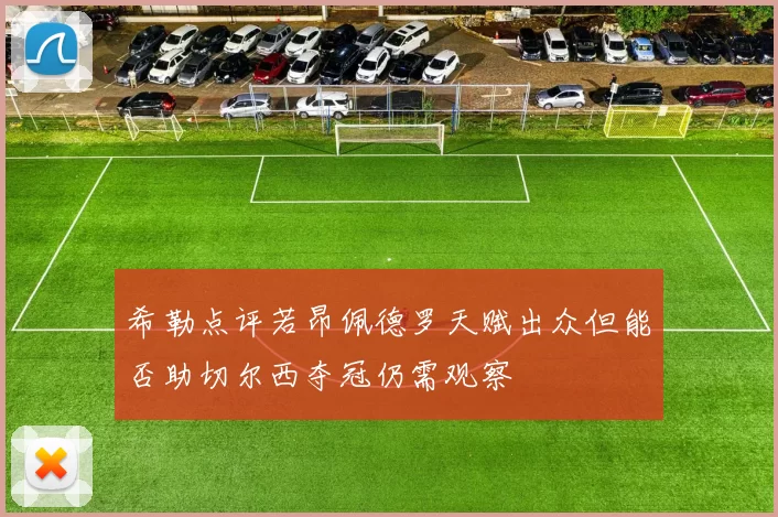 希勒点评若昂佩德罗天赋出众但能否助切尔西夺冠仍需观察