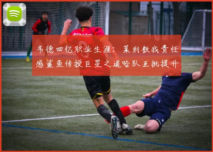 韦德回忆职业生涯：莱利教我责任感鲨鱼传授巨星之道哈队互批提升自我